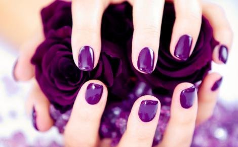 Beautiful violet