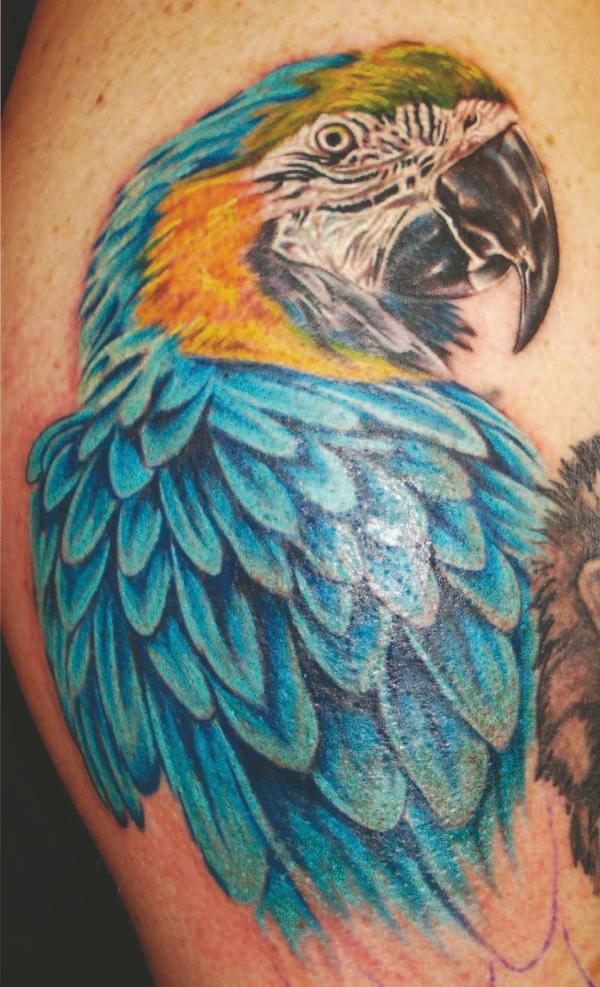 Cool bird tattoo