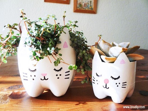 Cat Plant Holders